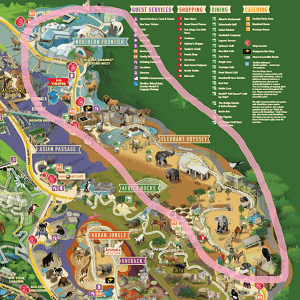 サンディエゴ動物園　マップ