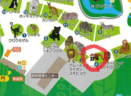 熊本市動植物園　園内マップ