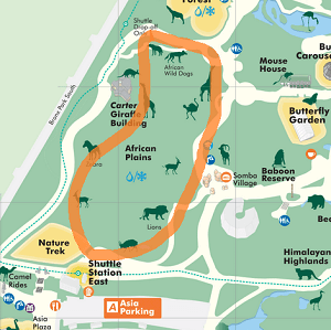 ブロンクス動物園　マップ