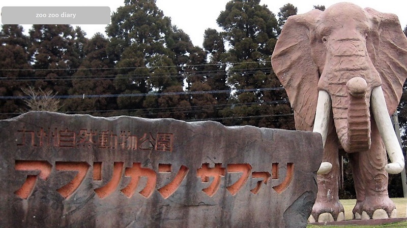 アフリカンサファリ　看板