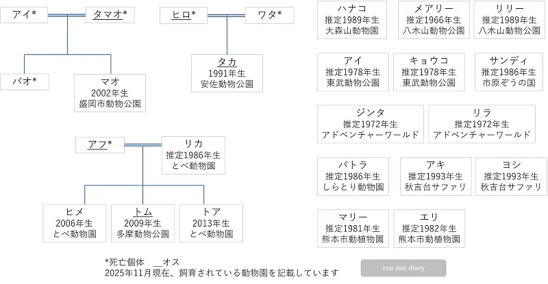 アフリカゾウ サバンナゾウ 相関図 家系図
