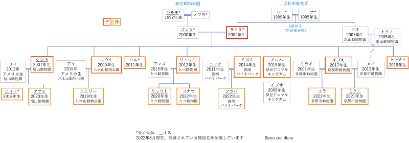 徳山動物園　キリン　ゴンタとサクラの家系図