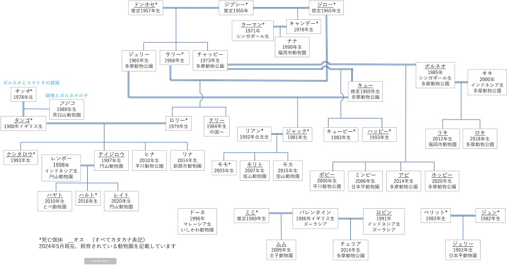 ボルネオオランウータンの家系図 相関図