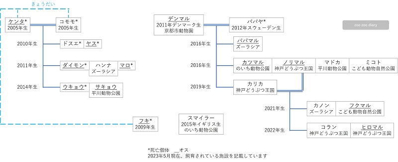 日本にいるヤブイヌ 相関図 家系図