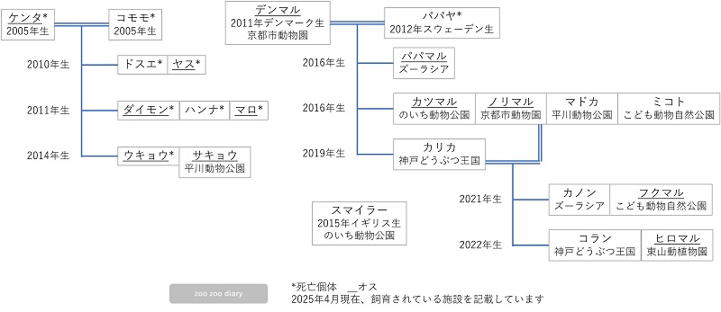 日本のヤブイヌ 相関図 家系図