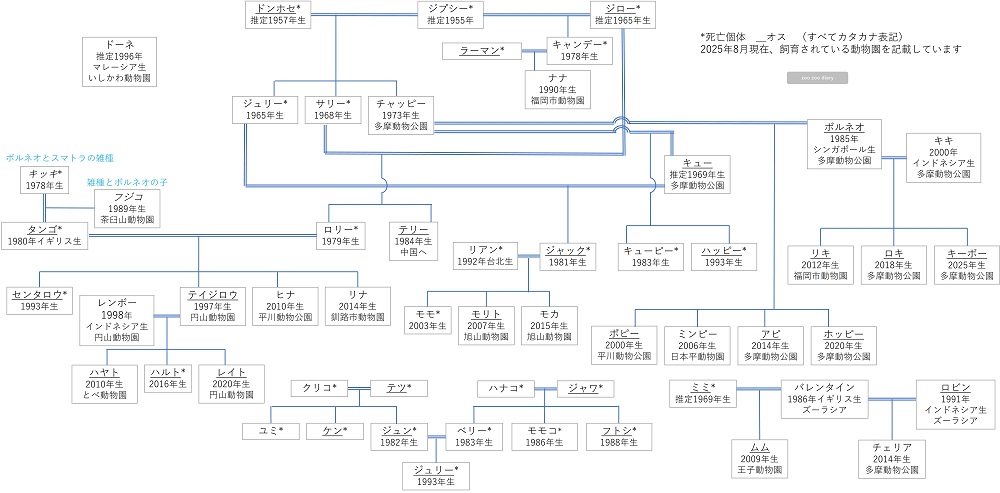 日本にいるボルネオオランウータンの家系図 相関図