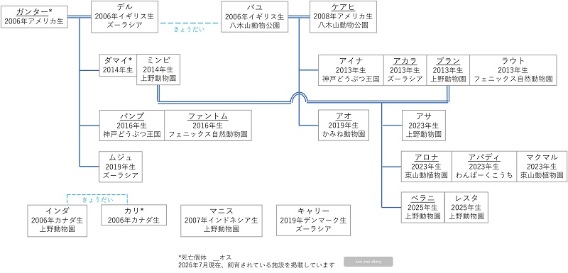 日本にいるスマトラトラの相関図　家系図