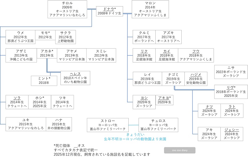 日本にいるユーラシアカワウソ 相関図 家系図