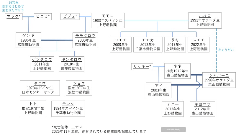 ニシローランドゴリラ 相関図 家系図 日本の動物園