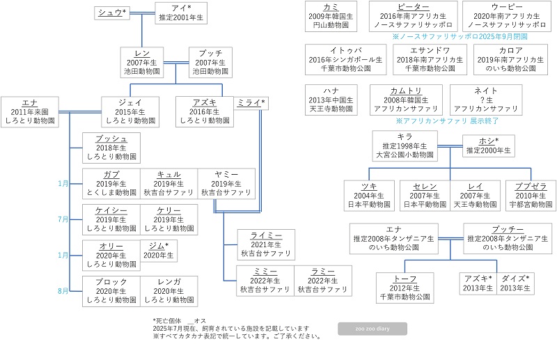 日本の動物園にいるブチハイエナの相関図 家系図