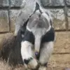 Thumbnail of related posts 004