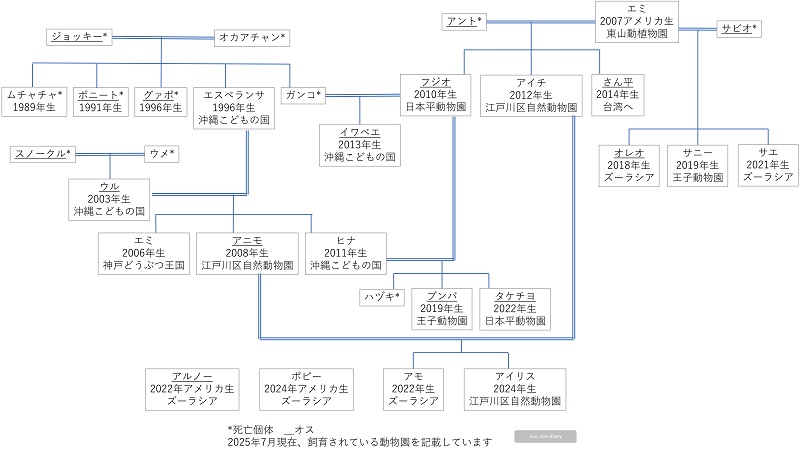 日本にいるオオアリクイ　相関図