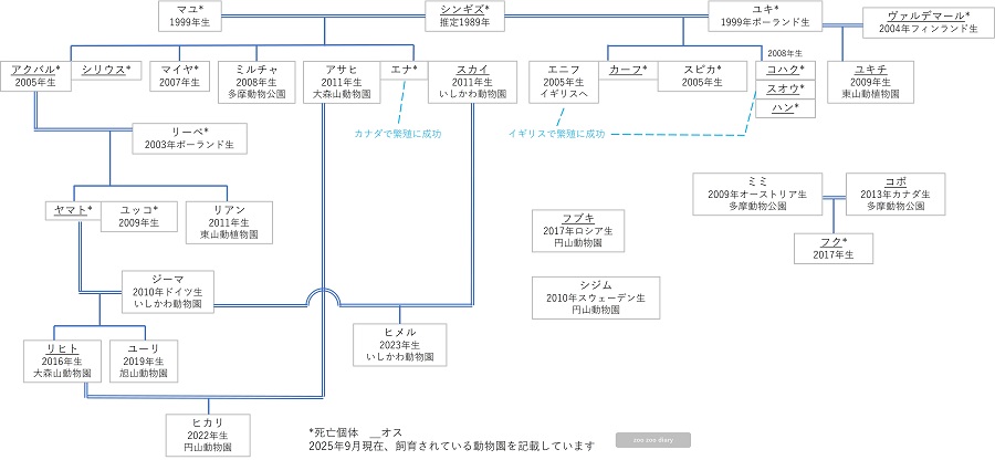 日本にいるユキヒョウ 相関図 家系図 2025.9