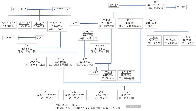 日本の動物園にいるオオアリクイ　相関図