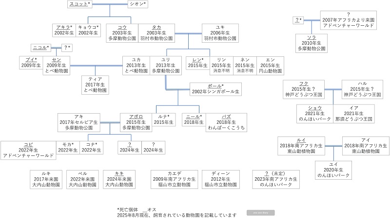 日本の動物園にいるサーバルの相関図　家系図