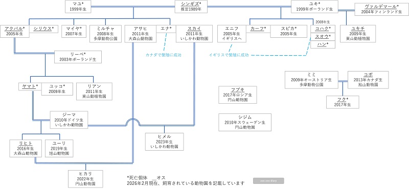 日本にいるユキヒョウ 相関図 家系図 2026.2
