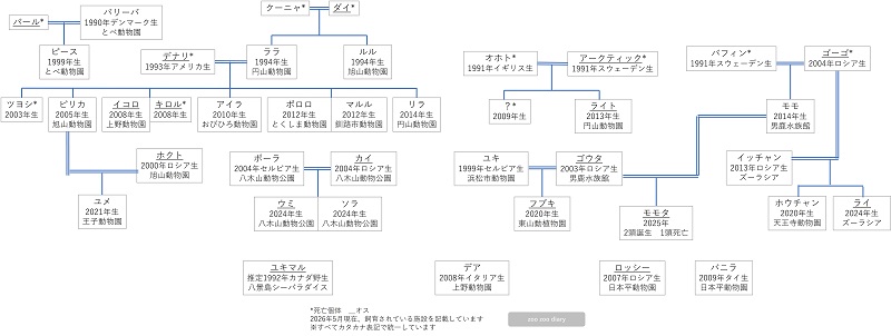 ホッキョクグマの相関図 家系図