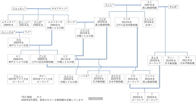 日本の動物園にいるオオアリクイ 相関図
