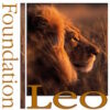 New classification of lion subspecies accepted in US - Leo Foundation