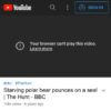 Starving polar bear pounces on a seal | The Hunt - BBC