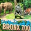 New York Bronx Zoo Wild Asia Monorail Ride